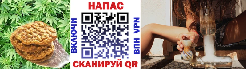 MEGA ссылка Луховицы Canna-Cookies конопля