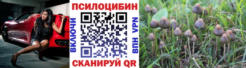 Галлюциногенные грибы GOLDEN TEACHER где купить наркоту Луховицы